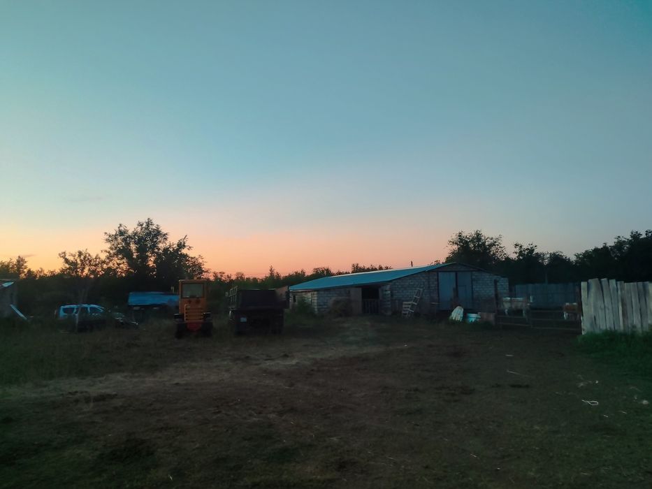 Ферма , личное подсобное хозяйство