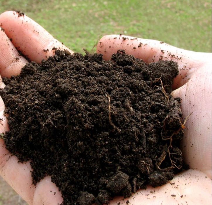 Доставка чернозем, навоз