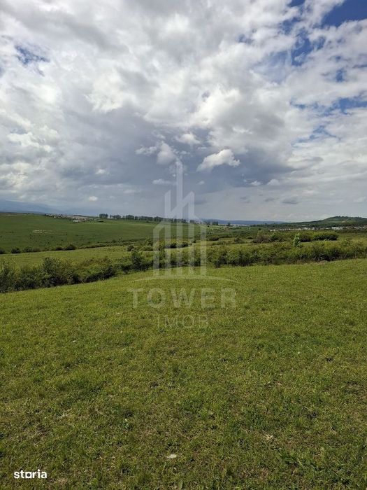 De vanzare, teren 11.500 mp – Dealul Dăii,  Vedere panoramică spre mun