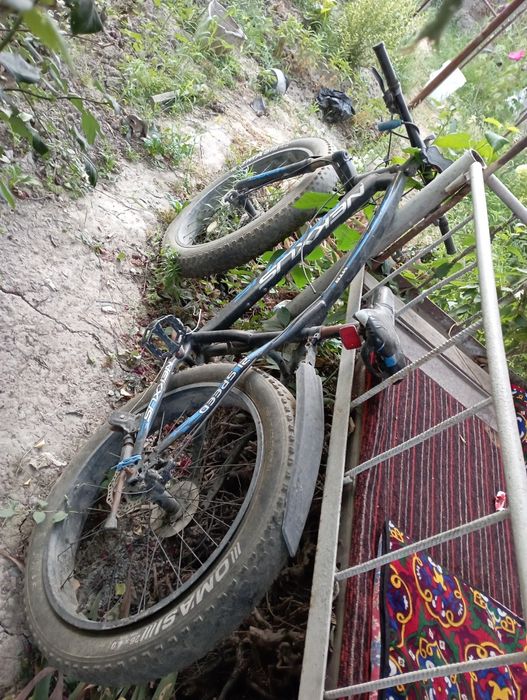 Velosiped shiroki balon