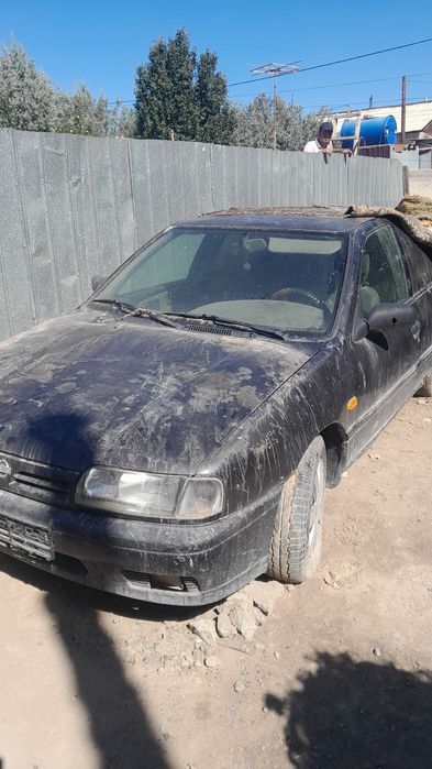 Автозапчасти  77