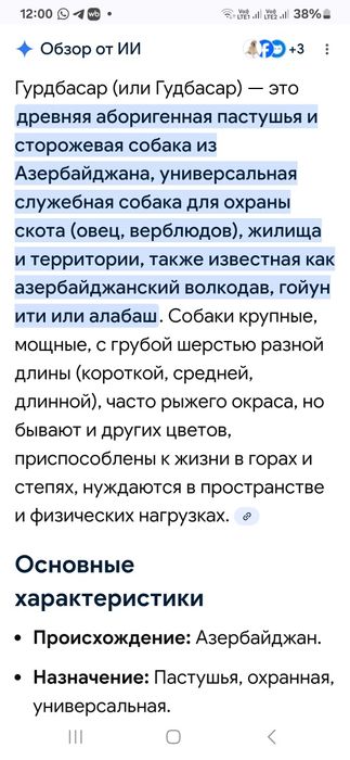 Отдам пса в хорошие руки