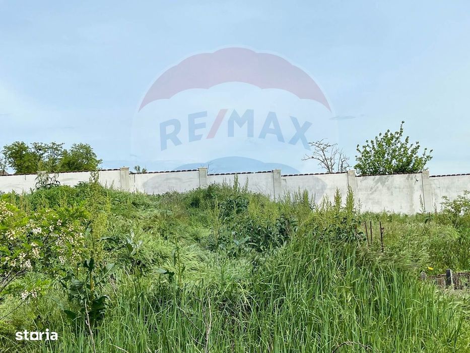 Teren intravilan de vanzare 2.464 mp, Gurbanesti