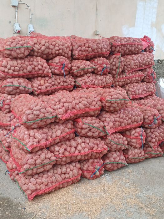 Cartofi roșii și albi