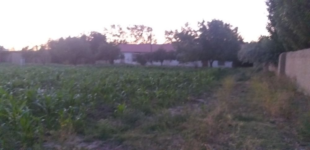 сурочни прадайотса Дом