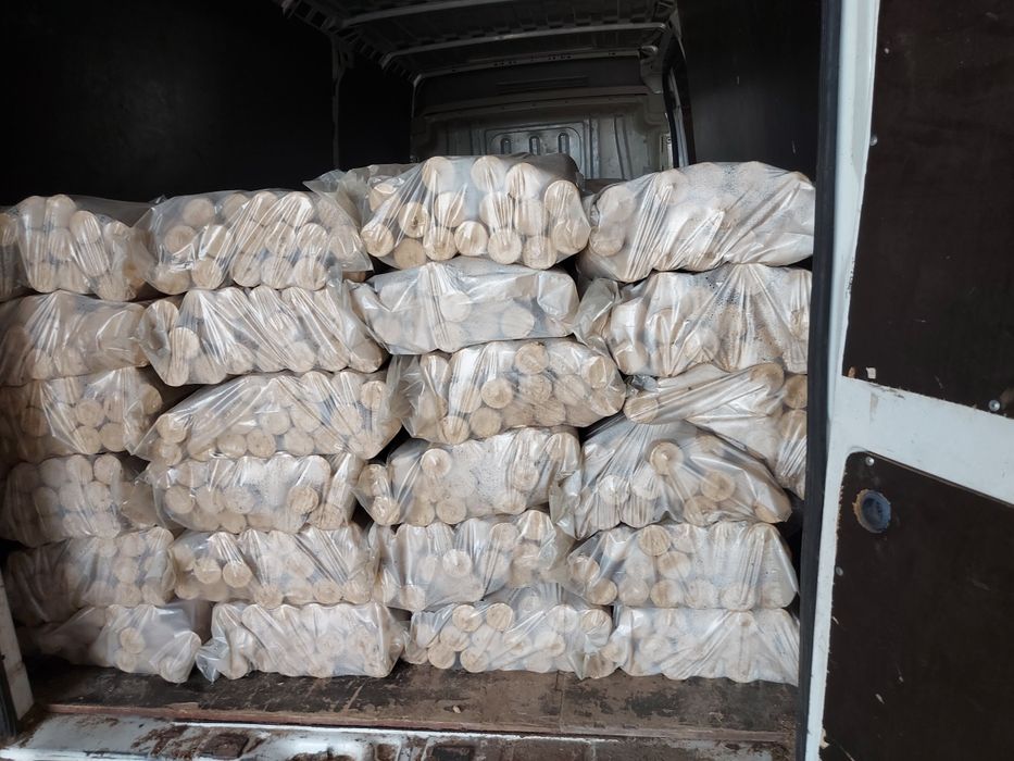 brichete rumegus rasinoase fag