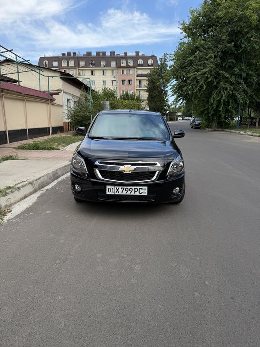 Kobild 2025 yil 3000 km yurgan midnayd