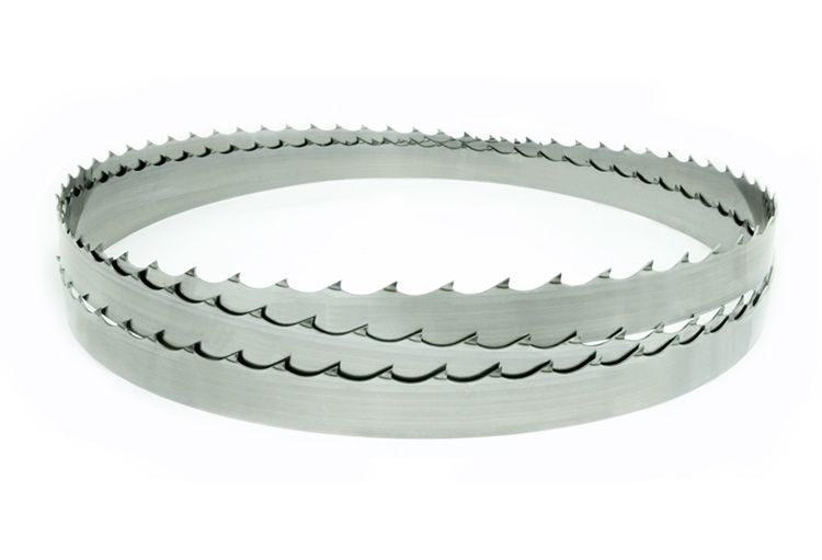 Panze panglica banzic debitat busteni | Orice Lungime | La comandă