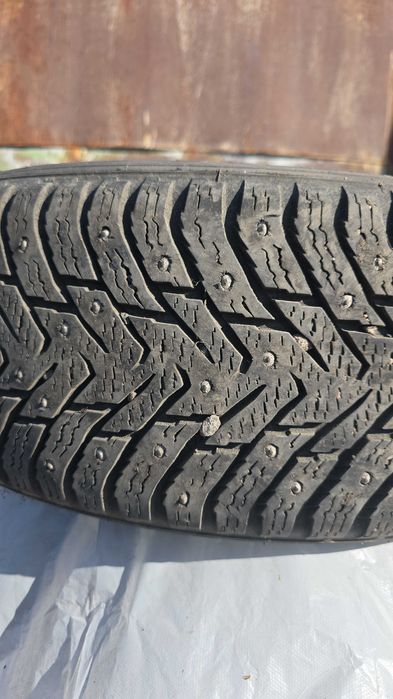 Комплект Nokian Hakapelitta 8