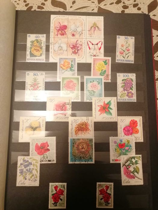 колекция от пощенски марки в класьор