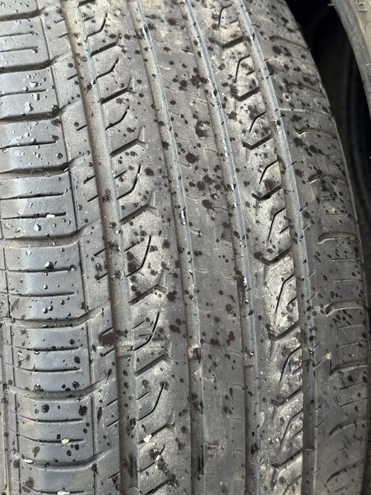 Шина ризина летняя