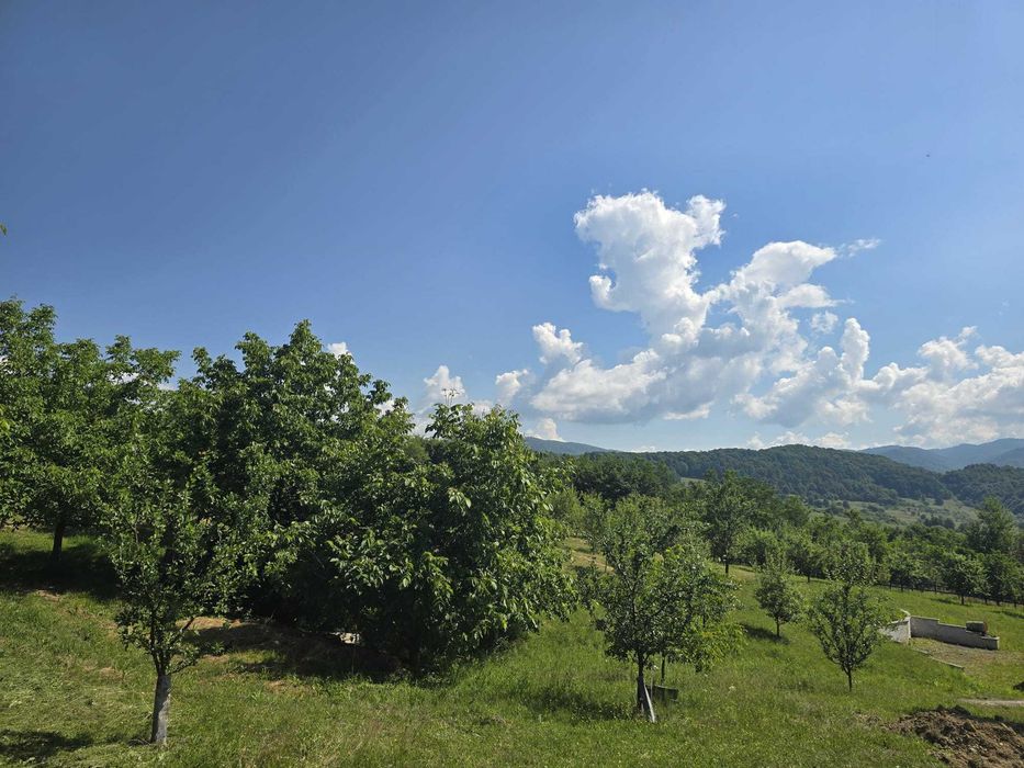 1,8 Ha Livadă la Poalele Pădurii | Casă + 2 Cabane | 700 Pomi Fructiferi | 200.000 € Negociabil