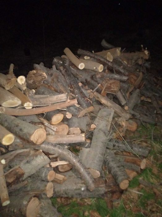 Дрова у́тин тайёр кесилан