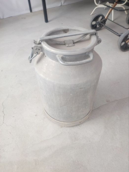 Россияда илаб чикарилган филяга