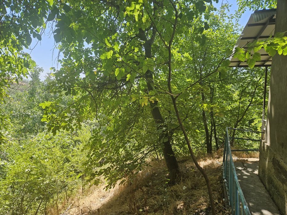 Дача сотилади октошда йул юзида