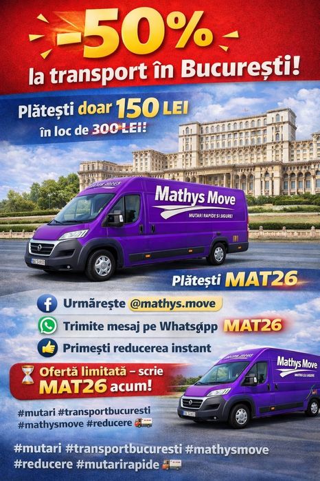 Servicii mutari transport manipulare mobila bagaje in provincie