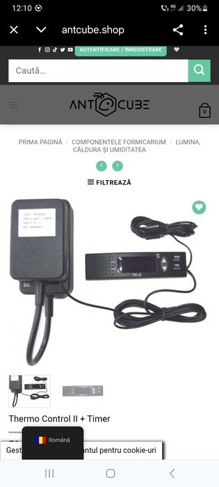 Termostat digital