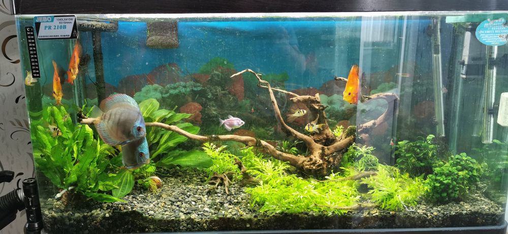 Продам аквариум 200 литров