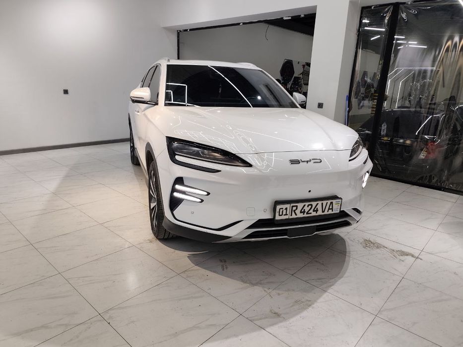 BYD. Чинпийон. 2023 ТОКДА