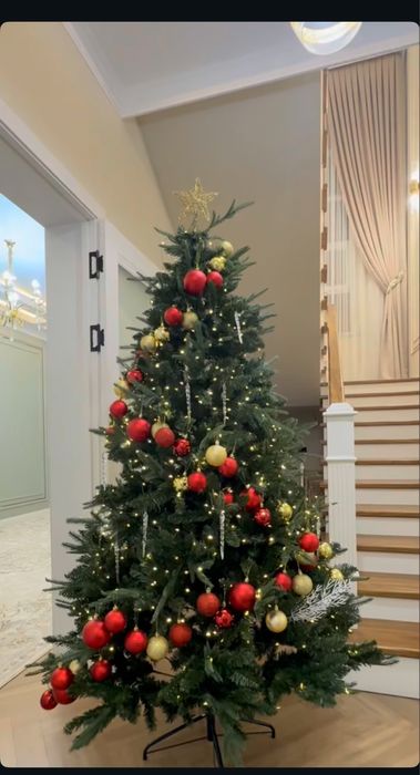 Новогодняя елка Голубая Ель Изабелла 210