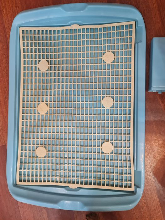 Лоток для собак, щенков большой