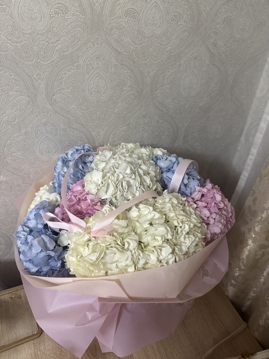Продам цветы Гортензия