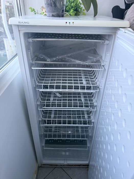 Sang фризерSangg