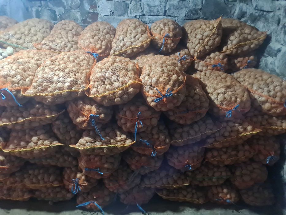 Cartofi de samante alb si rosu