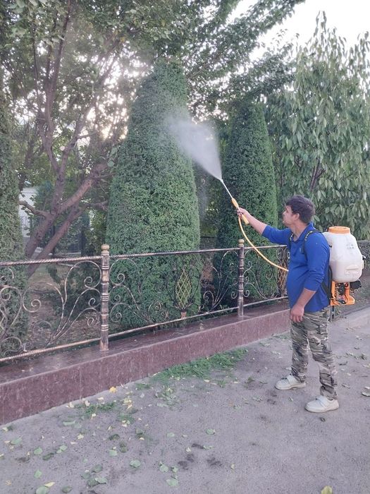 дезифекция дорилаш