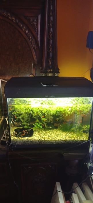 Польский Аквариум 70 литров