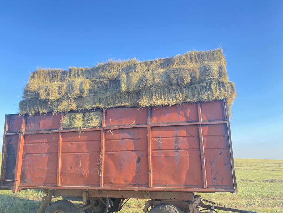 Продажа сено Тюки самовывоз