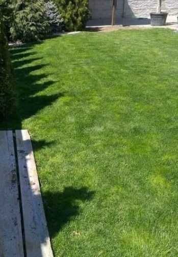 Sisteme de Irigare si Gazon Rulou