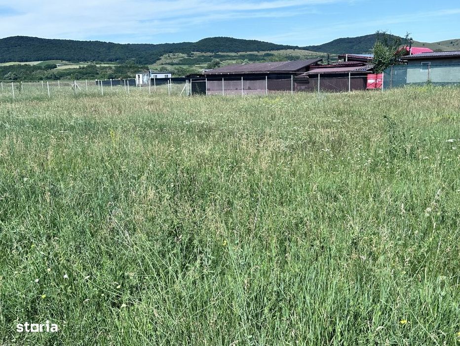 OKAZIE ! Teren INTRAVILAN I 449 mp. I Vanzare I Alba Iulia | Zona MICE