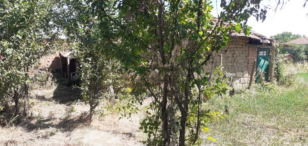 Продава се Къща в с. Батишница, Област Русе - 100 кв.м за 280 €/кв.м - Снимка #7