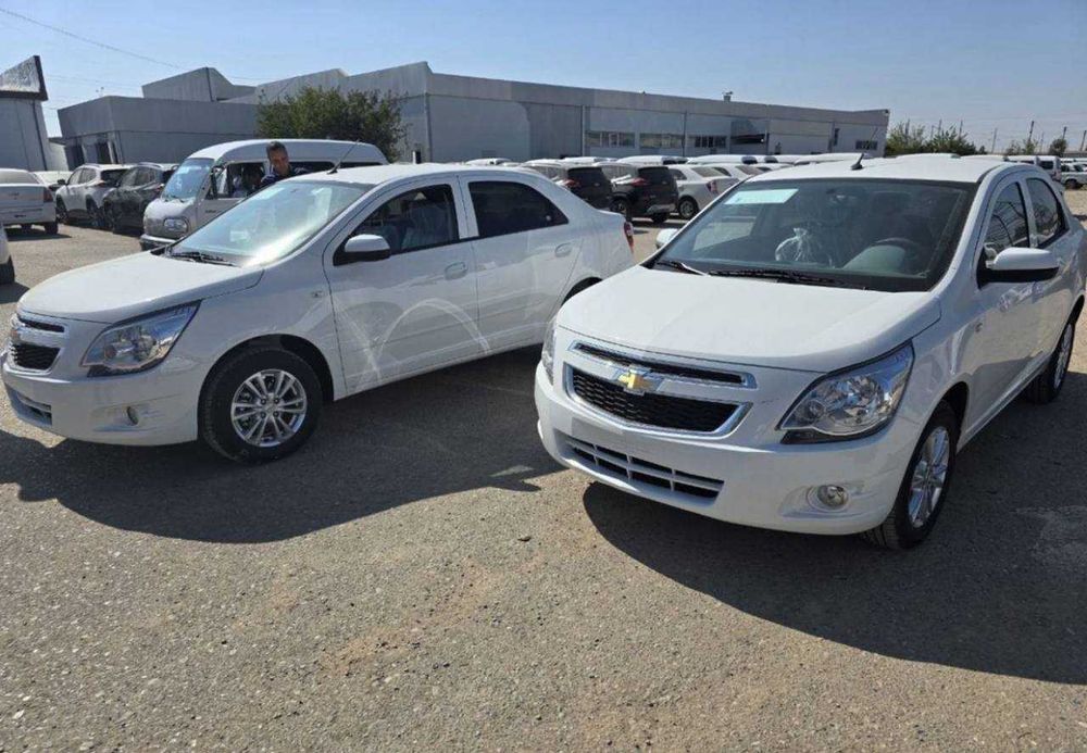 cobalt rasrochlaga banksiz