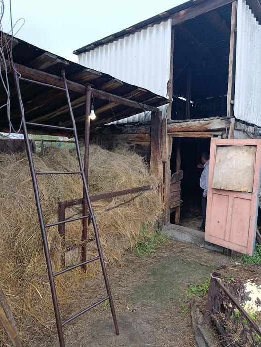 Продам два дома на одном участке