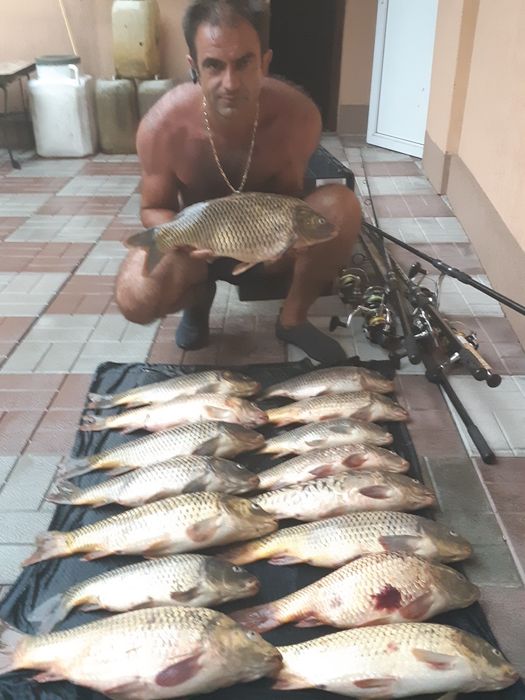 Vand pelete pt crap origine Polonia