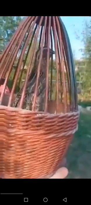 Bedana sotiladi Italiya