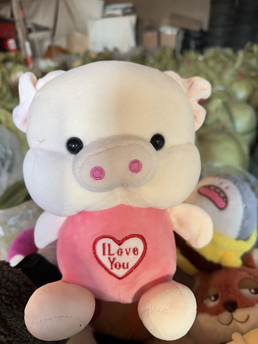 Большой склад игрушек в Астане