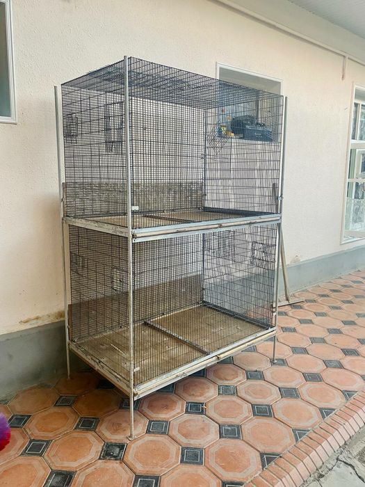 клетка валер кафас сотилади