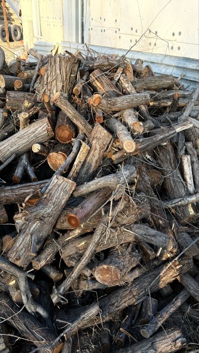 Дрова на шашлык Отын шашлыкка арналған