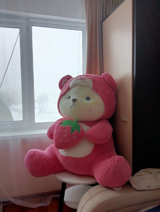 Мягкая игрушка..