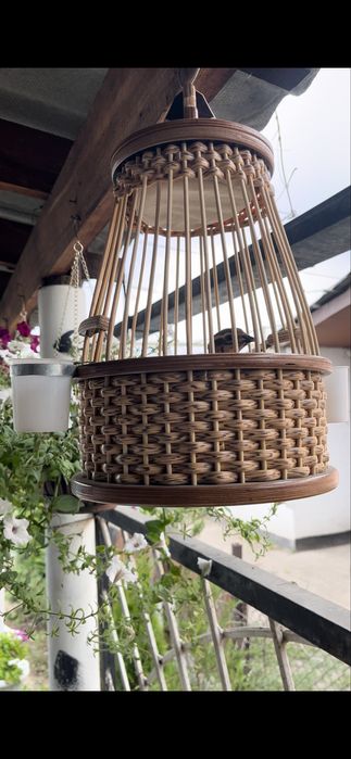 Продам италия  перепелов (бедана)