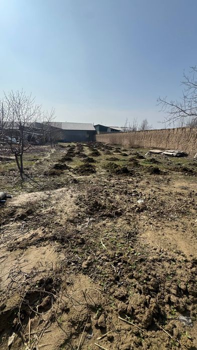 Quruq yer atrofi oralgan