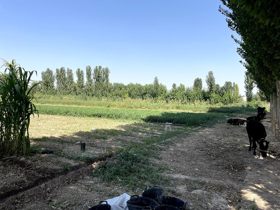 68 сотихли уй сотилади