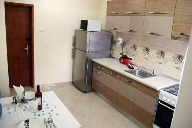 Apartament 2 camere Cornisa UMF de inchiriat