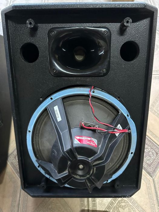 Фирменные колонки  Proel 12