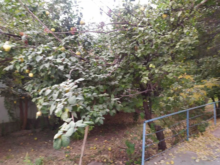 Два дома 3-х (50 кв) и 4-х (60 кв)комнат! Участок 20 соток.