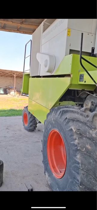 Класс доминатор