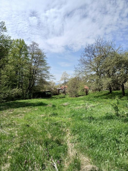 Casă la munte cu pârâu în curte,în localitatea  Nojag.la 18 km.de DEVA